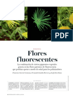 Flores Fluorescentes