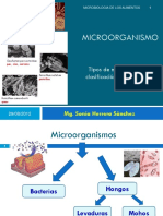 02-Microorganismos Clasificacion y Caracteristicas 29-08-12