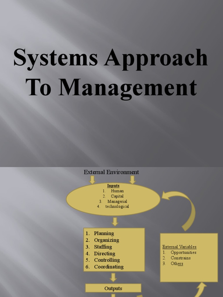 Systems Approach to Organizational Management | PDF