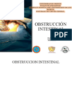 Obstrucción Intestinal