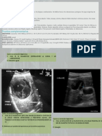 Evaluacion E.C.O.V Ecogarfia Abdominal 2021-2