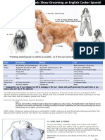 English Cocker Spaniel Grooming Chart - Color