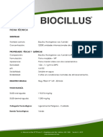 Ficha Técnica Biocillus