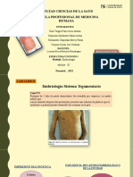 Embriología de la Ictiosis y el Albinismo