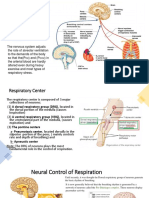 Regulation of Respiration C