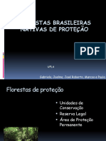 Florestas brasileiras nativas de proteção