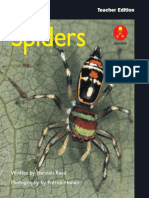 Spiders: Teacher Edition