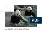 Los Pandas y Animales Asiaticos