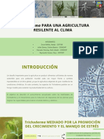 Trichoderma para Una Agricultura Resilente Al Clima