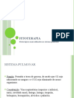 Fitoterapia Slides