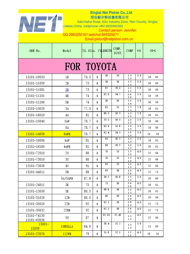 Net Piston Catalog PDF