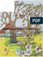 proiect_de_activitate_integrata_final