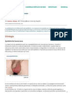 Epididimitis - Trastornos Urogenitales - Manual MSD Versión para Profesionales