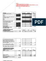 01.ciobota C Macheta Financiara Excel