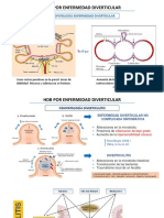 HDB Diverticulitis Angiodisplasias