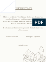 Certificate: School Stamp