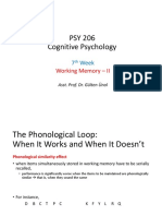 PSY 206 - 7. Hafta - Working Memory II