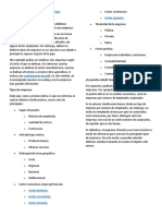 Nuevo Documento de Microsoft Word