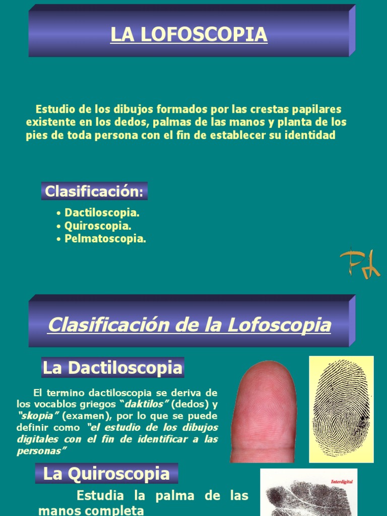 Introducción a la Lofoscopia | PDF | Huella dactilar | Mano, image size:768x1024