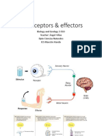 Receptors and Effectors