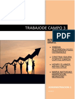 Trabajo de Campo 3