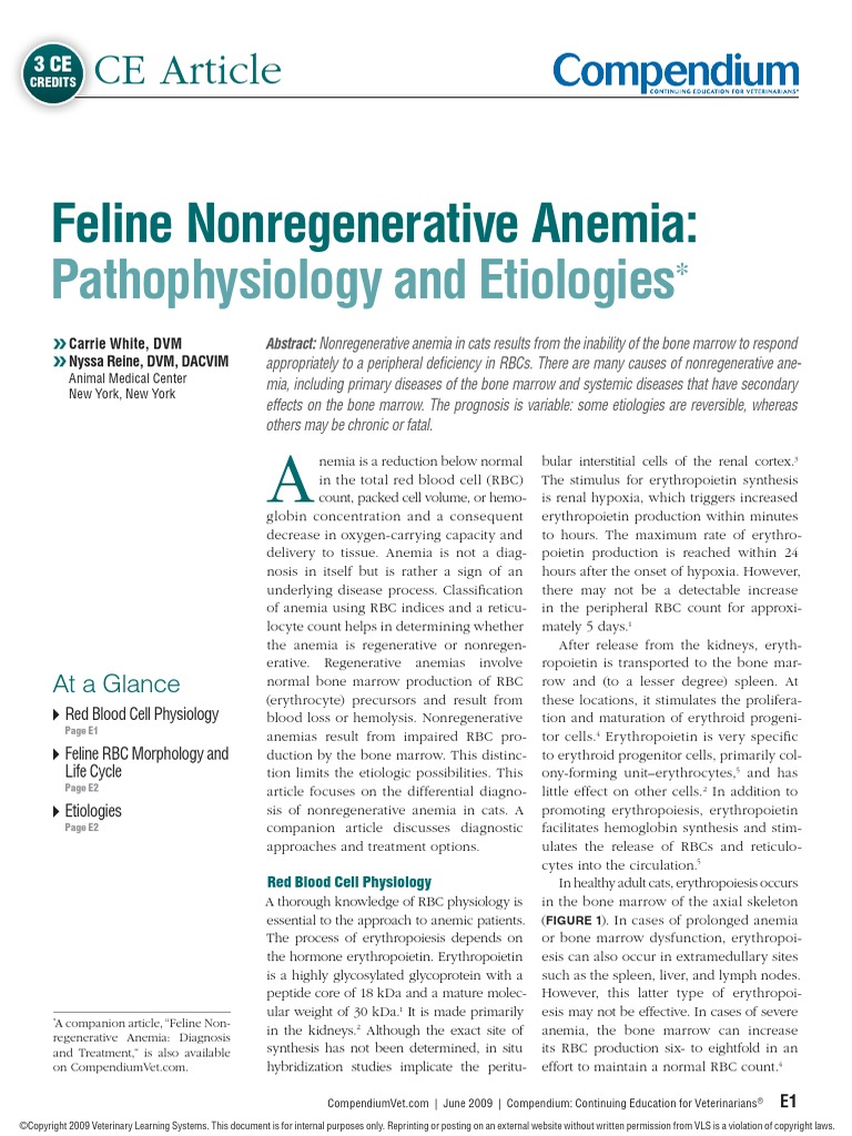 View of Feline Nonregenerative Anemia Pathophysiology and Erilologies | PDF ...