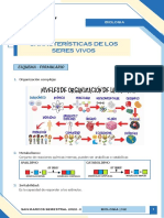 8.C SMV N2 Biologia