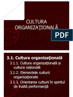 02 Nestian Clipa - Cultura Organizationala