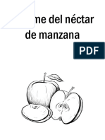 Informe Del Nectár de Manzana - Alejandra Ydme Huanca