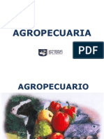 3 Conta Agropecuaria