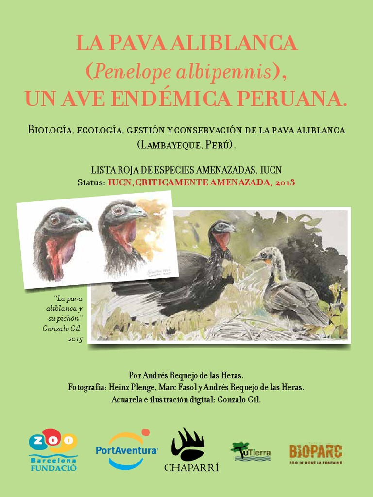 Conservación de la Pava Aliblanca en Perú | PDF | Entorno natural ...
