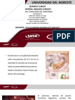 Presentacion Pancreas, Analisis Clinicos