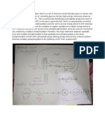 Substrate-Level Phosphorylation