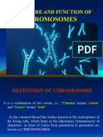 Structure and Function of