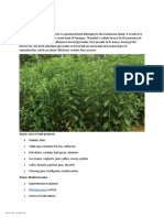 Stevia Cultivation Origin and Importance: Blood Pressure