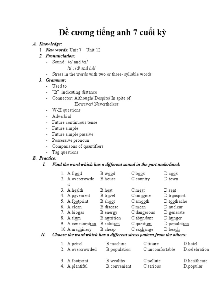 English 7 Final Exam Outline | PDF