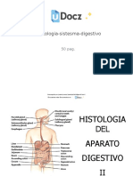 Histologia Sistesma Digestivo 263924 Downloable 984391