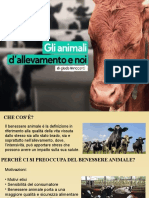 Produzione Animale Benessere Animale