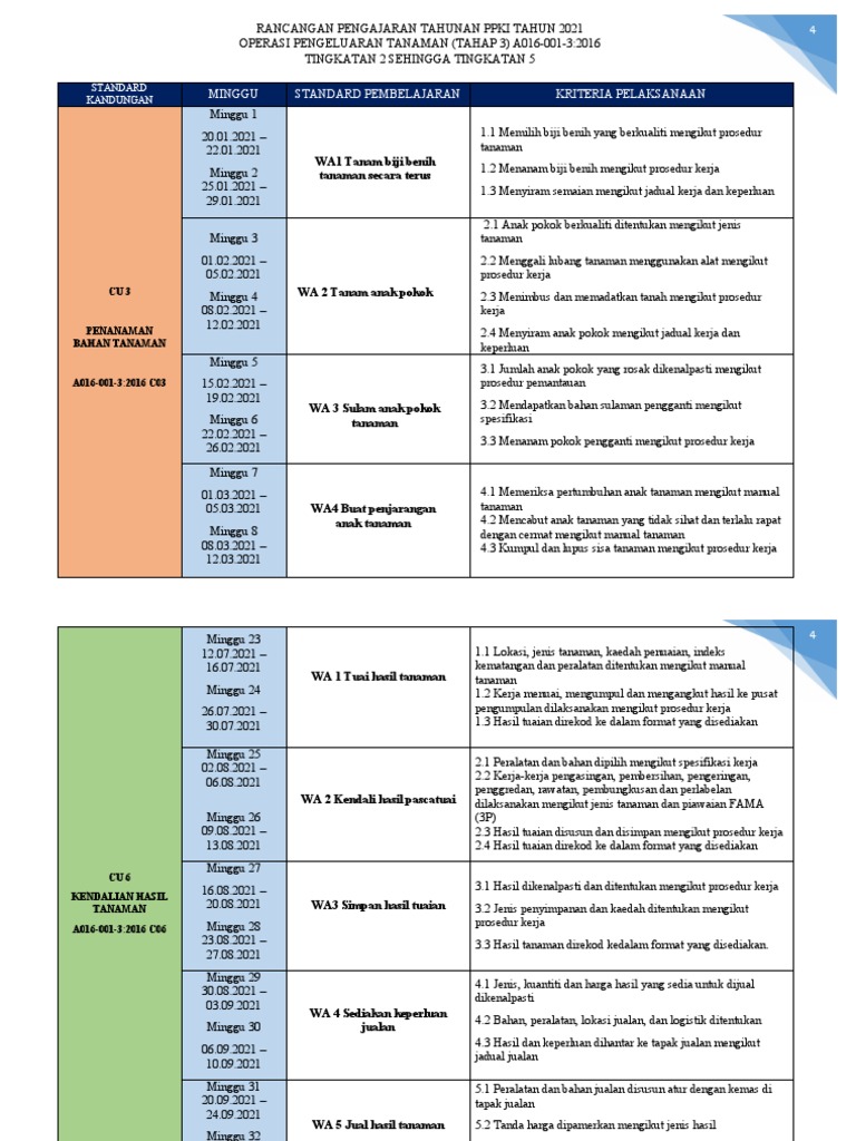 RPT Opt 202 | PDF