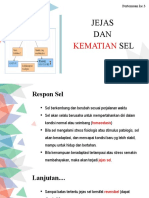 JEJAS DAN KEMATIAN SEL - New