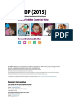 DRDP2015 IT Essential View 20190628 ADA