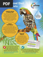 Parrot Feeding Guide Poster