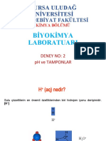 2.Deney-pH Ve Tamponlarr