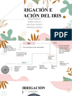 Irrigacion e Inervacion Del Iris
