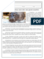 Texto hipopótamo (1)