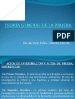 Teoria General de La Prueba-Dr - Peña Cabrera