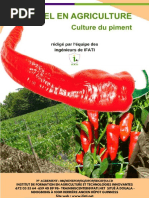 PIMENT