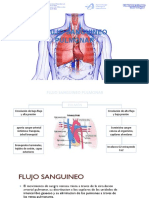 Flujo Sanguineo Pulmonar: Prof. Dr. Tulio Díaz