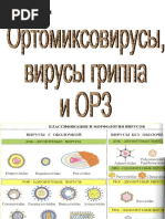 Ортомиксовирусы, грипп,  ОРЗ  лектор Мишина