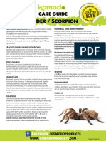 Starter Kit Spider Scorpion Care Sheet